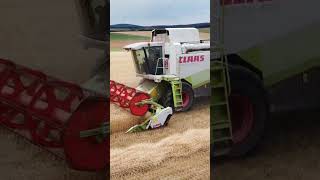 Claas Lexion 450 [upl. by Correna]