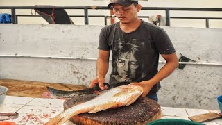 BIG LUTJANUS RIVULATUS FISH Lutjanidae BY EXPERT FISH CUTTER  FISHERMAN CUTTING [upl. by Teerprug]