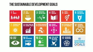 Do you know all 17 SDGs [upl. by Niveek]