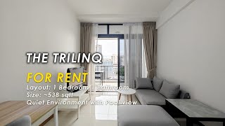 For rent The Trilinq  Layout 1 Bedroom 1 Bathroom  Size 538 sqft [upl. by Jeremie]