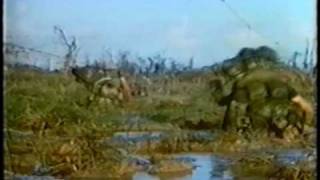 Marines in Vietnam 1968 55 [upl. by Wack]