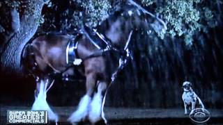 Budweiser1 Super Bowl Commercial of all time [upl. by Pacificia]