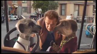 Compare The Market Meerkat Movies Alexander And Sergei Goes To Hollywood Short Advert 2015 [upl. by Ovatsug266]