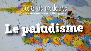 Paludisme  cours de médecinepaludism [upl. by Angelita]