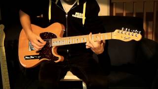 Telecaster Comparison – Squier vs Fender [upl. by Ecyac]