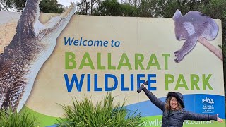 Ballarat Wildlife Park well worth the visit Ballarat Victoria [upl. by Pasquale]