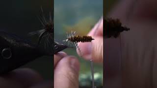 The Wooly Worm flytying fishing flyfishing tutorial timelapse shorts bassfishing [upl. by Kolivas]