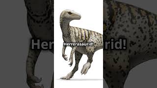 Uncovering Secrets Ancient Dinosaur Fossil Found [upl. by Ahsiea]