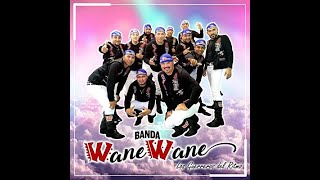 Banda Wane Wane  La Ingenua [upl. by Rosenkrantz420]