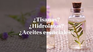 CONOCE las DIFERENCIAS ENTRE TISANAS HIDROLATOS Y ACEITES ESENCIALES  COMO usarlos 💄💄 [upl. by Imekawulo]