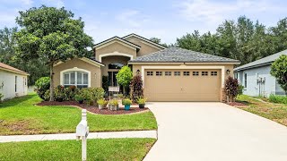 4446 Horseshoe Pick Ln Valrico FL [upl. by Trescha]