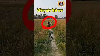 snake 🐍🐍🐍 देखिए सांप कैसे बनाsantkumar funny vfx comedy video munirbhai shorts [upl. by Nniroc]