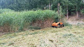 radio controlled robot remote control lawn mower remote control lawn mower on tracks [upl. by Yule489]