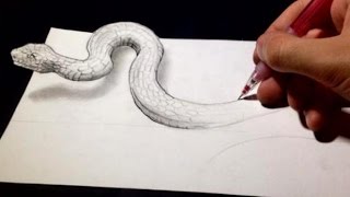 Drawing Anamorphic Snake  Optical Illusion [upl. by Lemon]