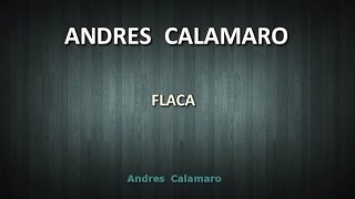 Andres Calamaro  Flaca KARAOKE [upl. by Jabe]