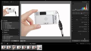 Using a grey card with Lightroom 3 [upl. by Shaughn]