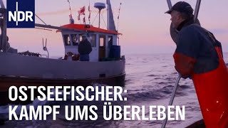 Der letzte Fang Ostseefischer vor dem Aus  Die Nordreportage  NDR [upl. by Canica366]