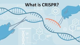 CRISPR Cas9 Explained [upl. by Uda]