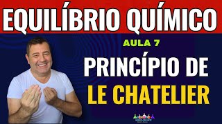 💡 Princípio de Le Chatelier  Equilíbrio Químico [upl. by Bej360]