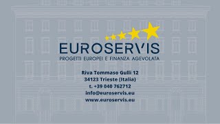 Euroservis  Progetti europei e finanza agevolata [upl. by Pascia]