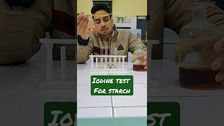 Iodine test for starch class6 experiments science [upl. by Onairam]