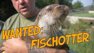 Steckbrief Fischotter [upl. by Nonnaer]