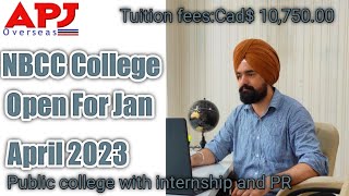 NBCC college Admission openlow cost public college in Canada IRCC  APJ Overseas Harjeet Sir [upl. by Morentz652]