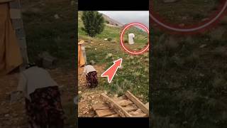 Nomadic and rural life😥Nomads Lifes nomadslifes2 Camping Videos Nomads Lifes [upl. by Zuliram]