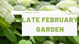 Into the late February Garden with Leslie [upl. by Yllen]