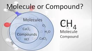 Molecule vs Compound Examples and Practice [upl. by Skerl450]