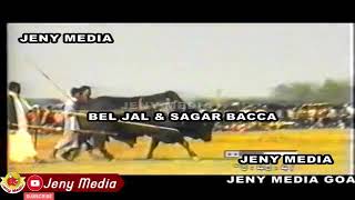 Beljal vs Sagar baccia [upl. by Dorella772]