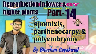 apomixis  parthenocarpy  polyembryony  part 14 reproduction in lower and higher plants [upl. by Leyameg718]