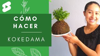 ¿Cómo hacer kokedama [upl. by Varipapa]