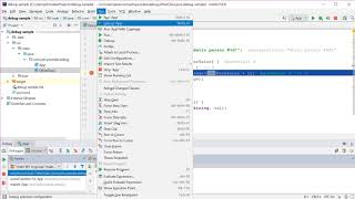 Debugging Java in IntelliJ IDEA [upl. by Howlyn173]