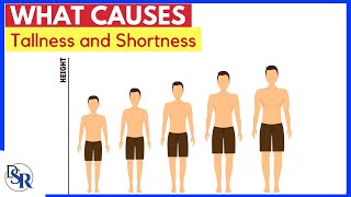 📏 What Causes Tallness and Shortness [upl. by Karie945]