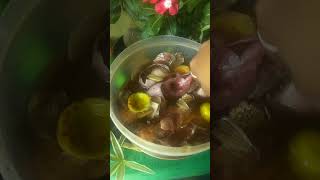 Onion Fertilizer for hibiscus flower plant🌺🌷🌿gardening ytshorts [upl. by Averi]