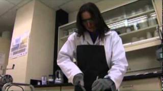 Proximate Analysis  Sample Preparation [upl. by Atterahs]