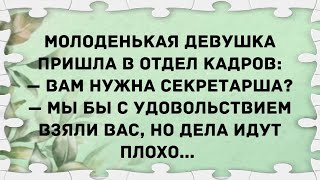 Молоденькая девушка пришла в отдел кадров Сборник свежих анекдотов Юмор [upl. by Merce]