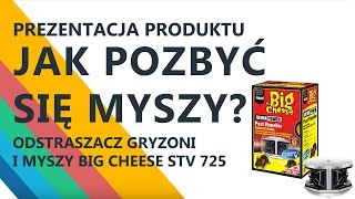 Jak pozbyć się myszy Odstraszacz gryzoni myszy Big Cheese STV 725 [upl. by Ceciley]