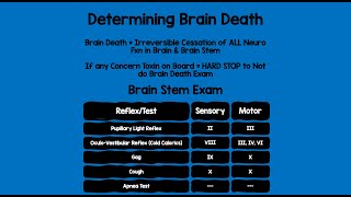 Determining Brain Death [upl. by Eachern]