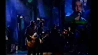 The Wallflowers  Heroes  Live 1998 [upl. by Arramat33]