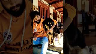 Dur Na Kari shorts doglovers viral trending love ytshorts [upl. by Kora]