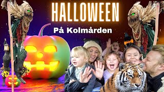 3prinsessor  HALLOWEEN på Kolmården 2022🎃👻🦁🐬 VLOGG [upl. by Alamap442]