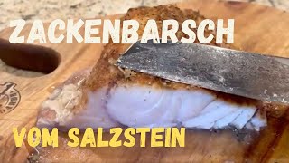 ZACKENBARSCH mit SALZSTEIN auf GRILL zubereiten  toller GESCHMACK [upl. by Jerrold]