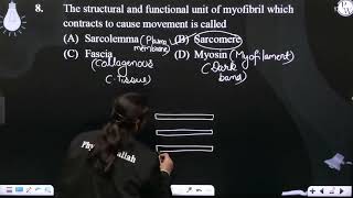 The structural and functional unit of myofibril which contracts to cause movement is called [upl. by Anelhtak]