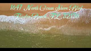 1647 N Ocean Shore Blvd Flagler Beach FL 32136 [upl. by Ratha]