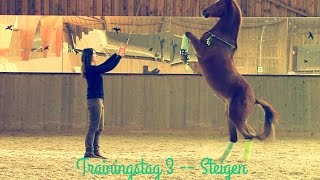 Trainingstag 3  Steigen [upl. by Tseng584]