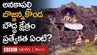 Andhra Pradesh అనకాపల్లిలో తవ్వకాల్లో బయటపడిన బొజ్జన్నకొండ బౌద్ధ క్షేత్రం ప్రత్యేకత ఇది BBC Telugu [upl. by Fatsug]