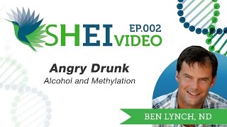 Angry Drunks  Alcohol and Methylation [upl. by Llenrub]