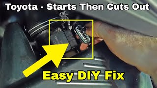 Starts Then Cuts Out Immediately  No Tools Required DIY Solution [upl. by Arym]